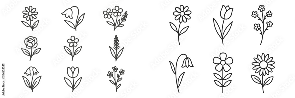 Poster various detailed flower illustrations in simple line art style suitable for design projects and art 