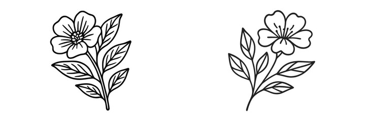 Simple line drawings of blooming flowers with detailed leaves showcasing botanical beauty and artistry