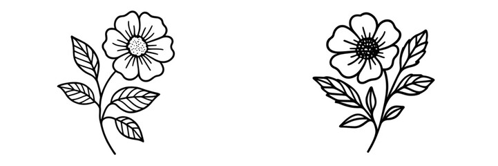 Floral sketches of two blooming flowers with delicate leaves on a white background showcasing artistic design