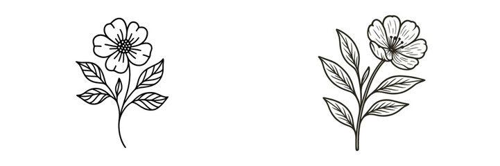 Floral sketches of two unique flowers with leaves, showcasing delicate designs perfect for art projects or decoration