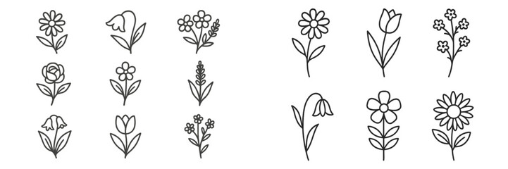 Various detailed flower illustrations in simple line art style suitable for design projects and art applications