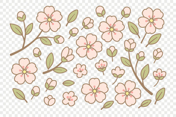 Cartoon cherry blossom (sakura) flowers and branches. Perfect for spring-themed designs, stickers, scrapbooking, invitations, children's projects, floral decor. Flat vector on transparent background