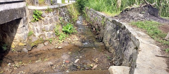 Small Concrete Bridge Over Rural Stream in Tropical Landscape