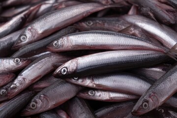 Silvery smelt fish cascade in tactile abundance, evoking Nordic midsummer feasts and the quirky charm of Piscean dreams