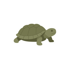Olive Green Tortoise Walking Side Profile Illustration.
