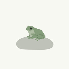 A serene green frog perched on a smooth gray stone.