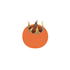 Vibrant Orange Persimmon with Detailed Stem.