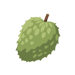 Vibrant Illustration of a Spiky Green Fruit.
