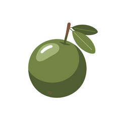Stylized Green Apple with Two Leaves and Brown Stem Isolated.
