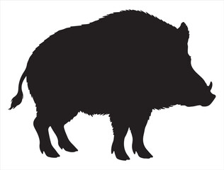 Wild Boar Silhouette