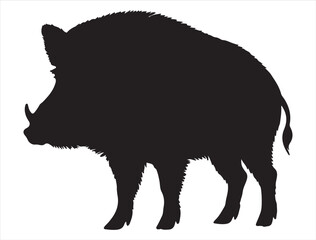 Wild Boar Silhouette