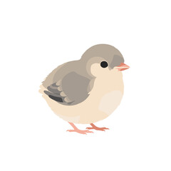 Adorable Cartoon Bird with Soft Feathers and Pink Beak Side View.