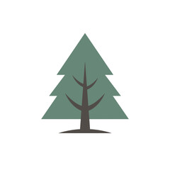 Stylized Evergreen Tree with Triangular Foliage and Dark Brown Trunk.