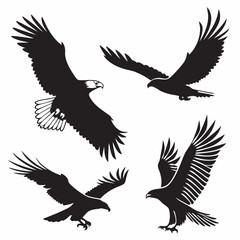 Fototapeta premium Eagle Silhouette Vector Set – Flying and Perched Bird Shapes