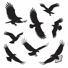 Eagle Silhouette Vector Set – Flying and Perched Bird Shapes
