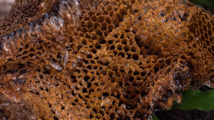 Close-up of Abandoned Honeycomb Structure