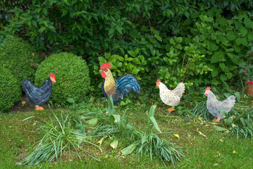 Poule, Sculptures de jardin, Buis, Jardin Iréne et Heinz Auer, Gaienhofen, Lac de Constance, Allemagne