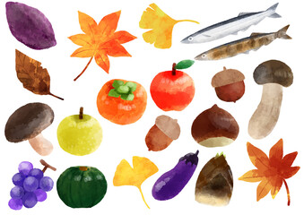 秋のイラスト　手描き　水彩風