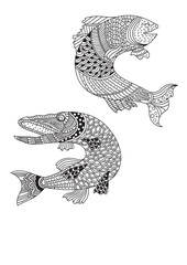 Zentangle Fish Pair Art| Detailed Fish Line Drawing| Underwater Animal Pattern| Abstract Fish Outline Design