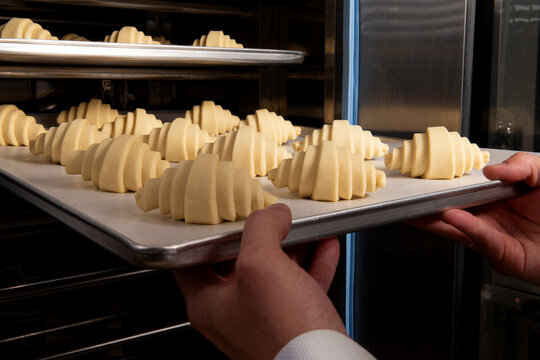 Pastry chef places croissants in the oven. - Powered by Adobe