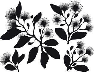 A vibrant vector illustration featuring silhouette leafy branches with fluffy eucalyptus flowers