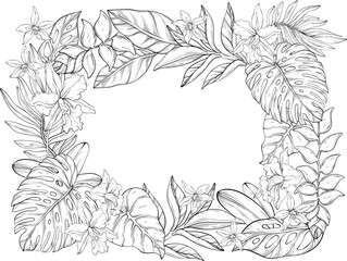 A detailed vector illustration of a tropical floral outlines frame featuring orchids, heliconias, plumerias, and monstera leaves surrounding a white center