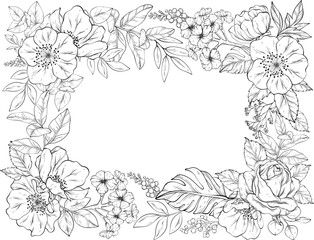 A delicate vector illustration of a outlines floral frame featuring roses, poppies, peonies, geraniums, and various foliage