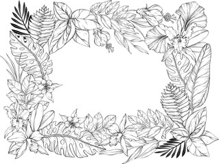 A outlines vector illustration of a tropical floral frame featuring orchids, hibiscus, passion flowers, and ginger flowers surrounded by leaves.