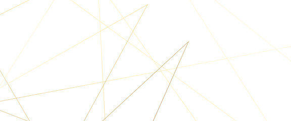 Fototapeta premium Abstract white background with golden and orange lines .golden geometric random chaotic creative lines background backdrop .luxury modern technology concept diagonal line .
