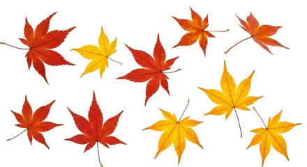 鮮やか紅葉 秋色舞い散る 白背景. AI Generated
