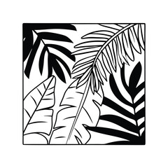 Black and white tropical leaf pattern illustration