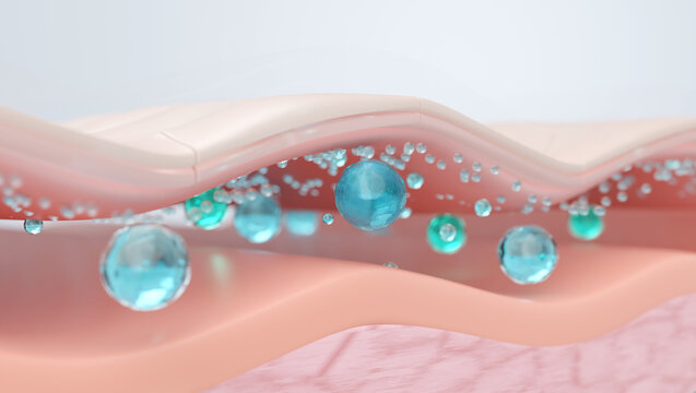 Hyaluronic acid locking moisture under epidermis skin layer