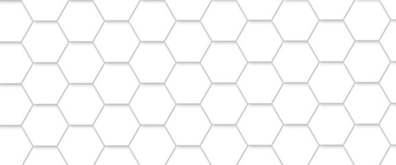 Abstract background with white color hexagons and seamless pattern vector design . luxury white pattern geometric mesh cell texture .honeycomb 3d background texture design .