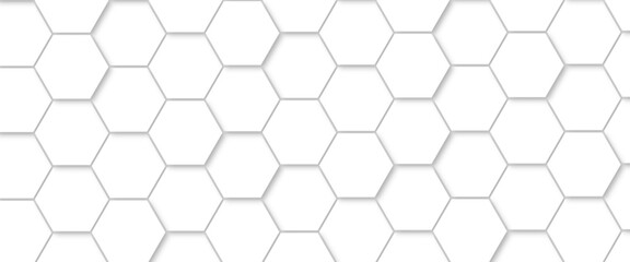 Abstract background with white color hexagons and seamless pattern vector design . luxury white pattern geometric mesh cell texture .honeycomb 3d background texture design .