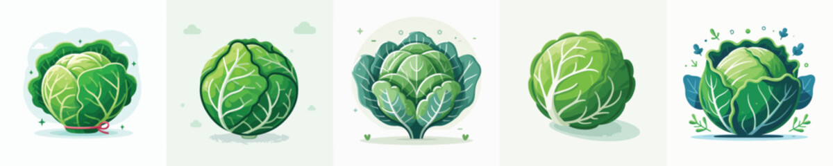 vector of cabbage