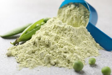 Protein powder, measuring spoon and fresh green peas on light grey table, closeup