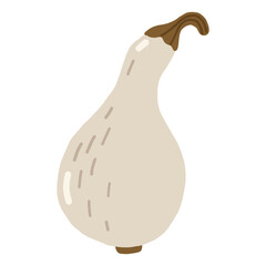 Autumn pumpkin doodle illustration, pumpkin isolated, autumn cozy colored