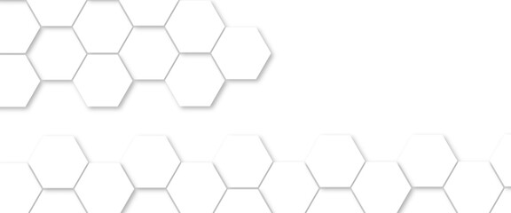 Abstract background with white color hexagons and seamless pattern vector design . luxury white pattern geometric mesh cell texture .honeycomb 3d background texture design .