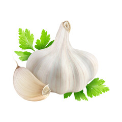 Realistic 3d Vector illustration of Garlic