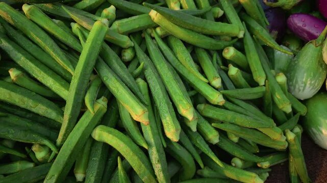 Fresh green okra, also known as bhindi, is on sale, with the camera panning from left to right to showcase its freshness.