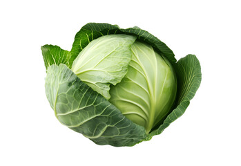 Fototapeta premium Raw cabbage isolated on white. Green cabbage