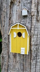 Wooden birdhouse on a tree trunk in the middle of a green forest in summer. The surrounding area is densely covered with leaves and plants.
Old starling house on tree. Weathered birdhouse in forest.