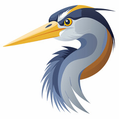 Great blue heron head profile illustration