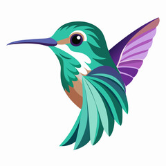 Obraz premium Vibrant teal hummingbird with purple wings
