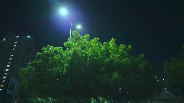 A neem tree sways gently in the wind, with buildings in the background, creating a serene urban scene.