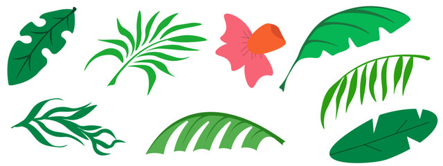 Summer plants set. Vector illustration of palm tree leaves exotic flower collection isolated transparent background. Ideal Summer art banner poster fabric decor template design. EPS 10