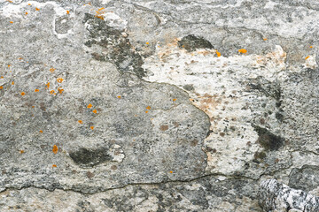 Close-up view of a weathered rock surface featuring unique textures and vibrant orange lichen...