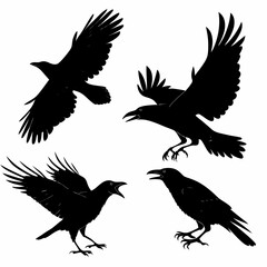 Obraz premium Crow Silhouette Vector Sheet - Minimal Black Bird Silhouettes for Design