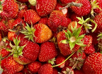 Fresh ripe organic strawberries closeup background