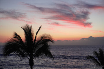 Atardecer Dorado: Palmeras y Siluetas en la Playa Golden Sunset: Palm Trees and Silhouettes on the Beach © lex